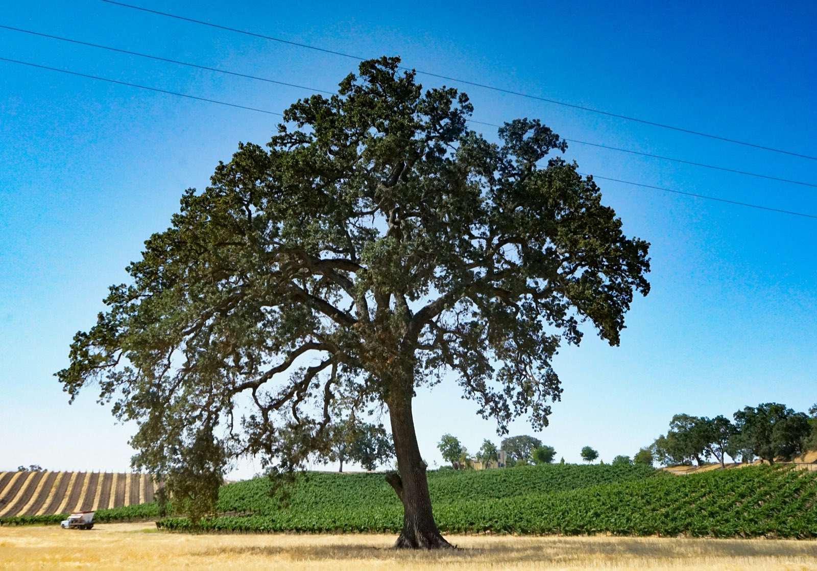 Sauna Builder in Arroyo Grande, CA