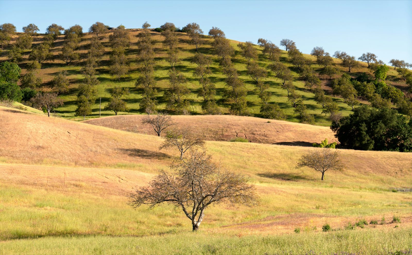 Sauna Builder in Paso Robles, CA